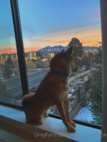 220305 02 recent adventure.jpg