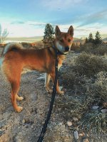 220305 03 recent adventure.jpg